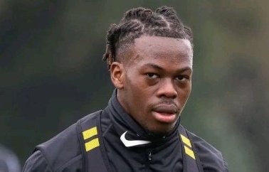 Mercato :  l’Allemand Hoffenheim sur la piste du gabonais Jacques Ekomié